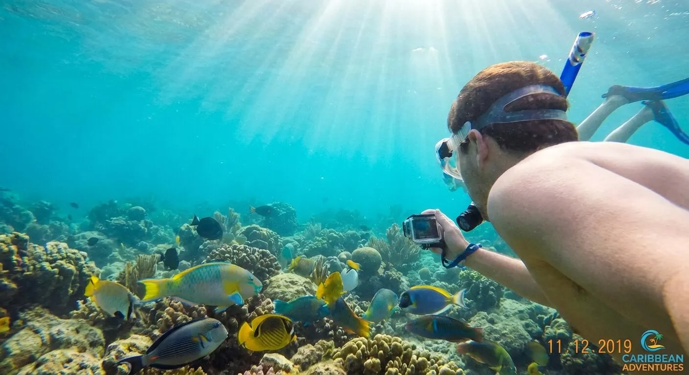 Polar bear sighting from the ship